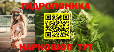 прущие грибы Новодвинск