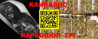 прущие грибы Новодвинск